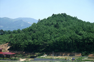 金鶏山