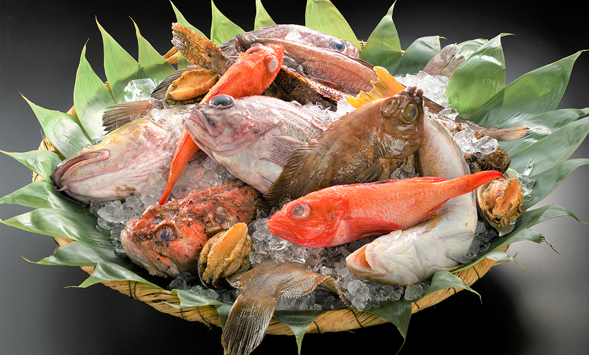 岩手県釜石より直送の鮮魚